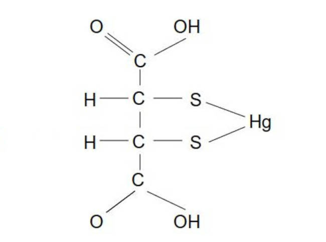 NBMI Hg chelate