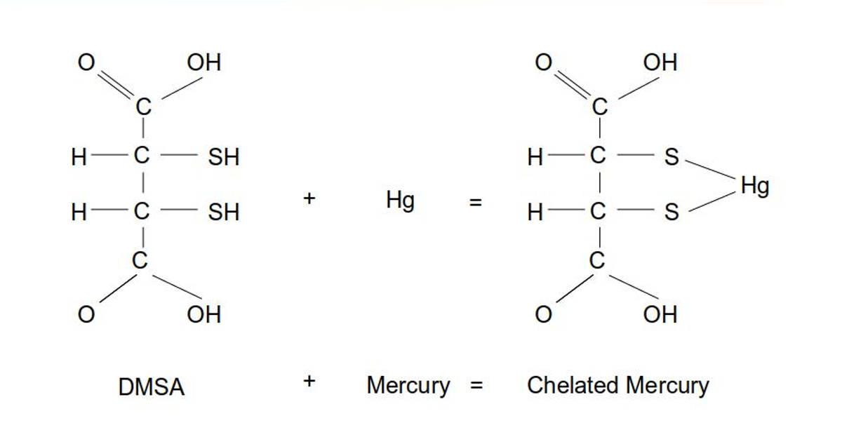DMSA chemical reaction with mercury