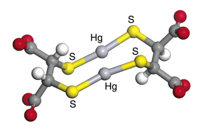 DMSA 2:2 ratio with mercury