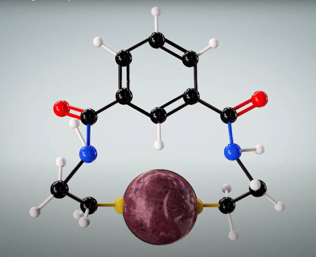 NBMI Hg chelate