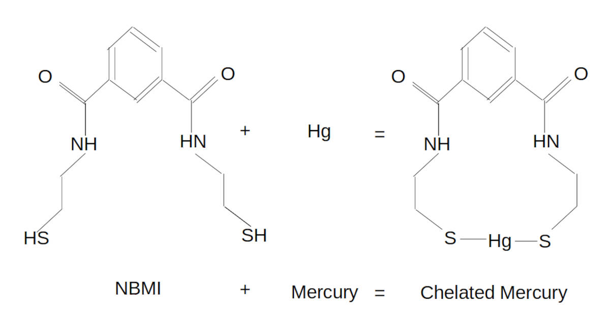 NBMI chemical reaction with mercury