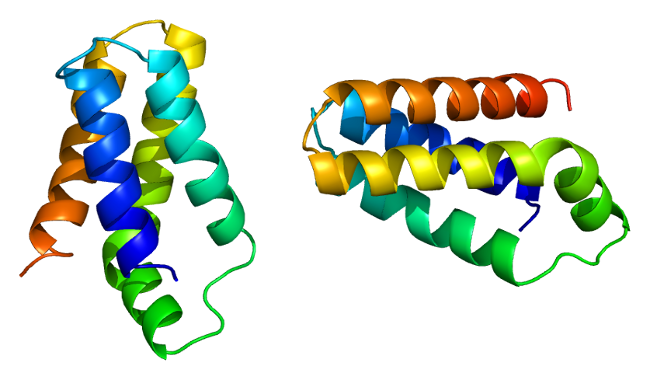 mTOR protein (FRAP1)